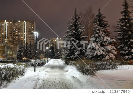 Fragment of a winter city spruce park in Moscow, Russia Fragment of a winter city spruce park in Moscow, Russia 113847940