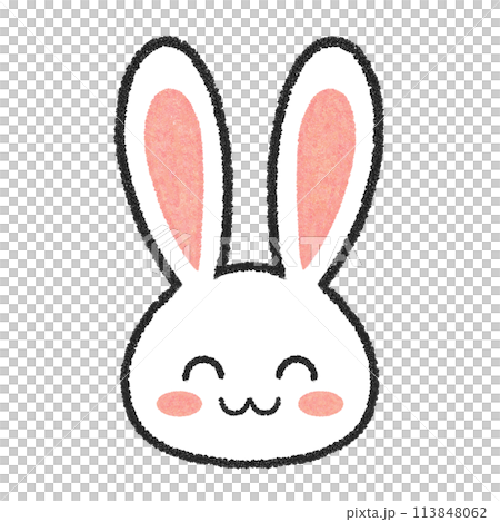 Smiling Rabbit Face 113848062