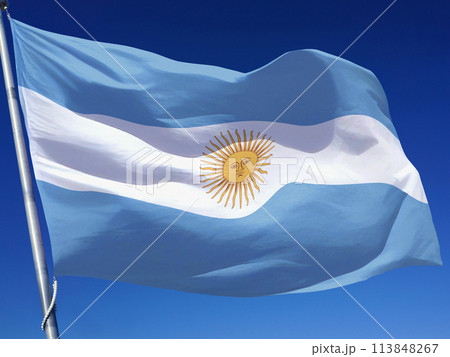 アルゼンチン共和国の国旗 アルゼンチン共和国の国旗 113848267