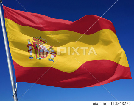 スペイン王国の国旗 スペイン王国の国旗 113848270