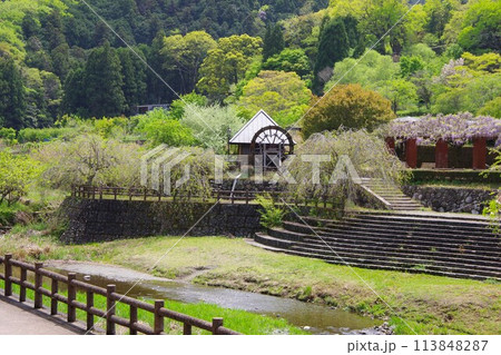 徳島県神山町　農村ふれあい公園 113848287