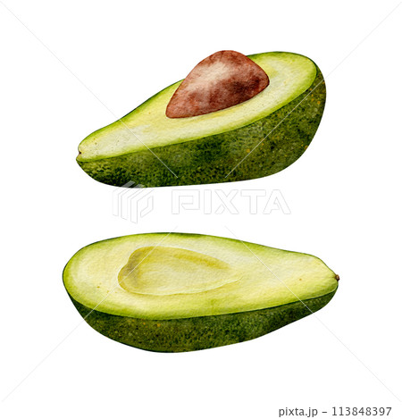 Half Avocado Watercolor illustration. Hand drawn clipart on isolated background. Botanical painting of tropical Fruit. Drawing of green Vegetable for food packaging design. Plant sketch for kitchen 113848397