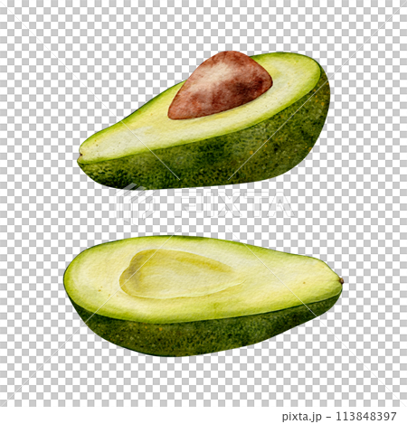 Half Avocado Watercolor illustration. Hand drawn clipart on isolated background. Botanical painting of tropical Fruit. Drawing of green Vegetable for food packaging design. Plant sketch for kitchen Half Avocado Watercolor illustration. Hand drawn clipart on isolated background. Botanical painting of tropical Fruit. Drawing of green Vegetable for food packaging design. Plant sketch for kitchen 113848397