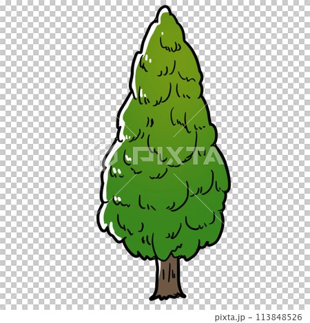 シンプルな杉の木のイラスト 113848526