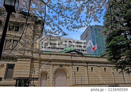 日本銀行本店と散り際の桜 113848589