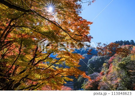 日本紅葉の名所100選 愛知県豊田市香嵐渓 日本紅葉の名所100選 愛知県豊田市香嵐渓 113848623