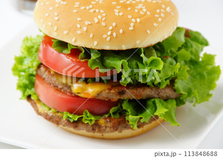 美味しいハンバーガー 美味しいハンバーガー 113848688