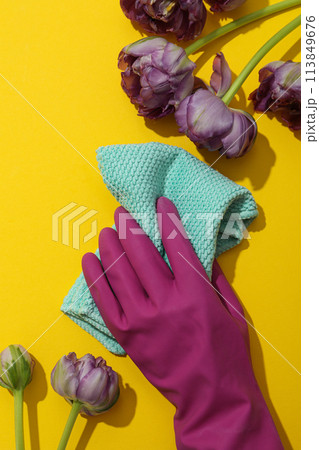 Rubber gloves with a rag and flowers Rubber gloves with a rag and flowers 113849676