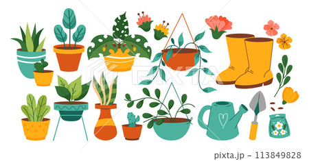 Hand drawn flower and plants collection set with gardening tools Hand drawn flower and plants collection set with gardening tools 113849828