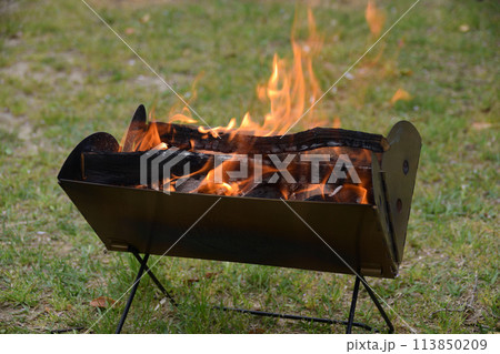 キャンプ 113850209