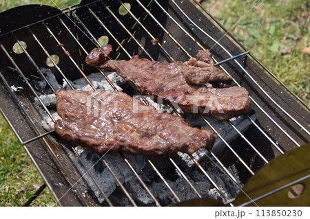 キャンプ 113850230