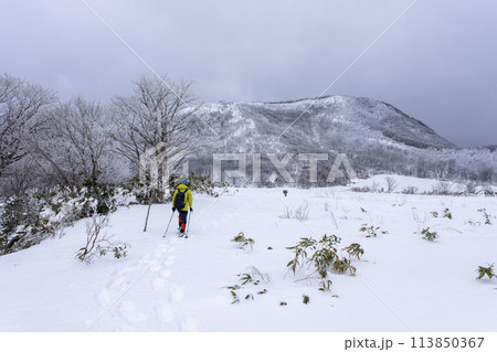 スノーシューハイクのイメージ　大山鏡ヶ成 113850367