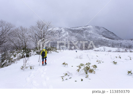スノーシューハイクのイメージ　大山鏡ヶ成 113850370