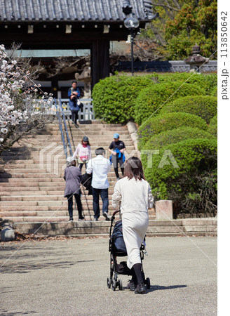 子供を連れて花見する若い母親と人々の姿とお寺の満開の桜の花の風景 子供を連れて花見する若い母親と人々の姿とお寺の満開の桜の花の風景 113850642
