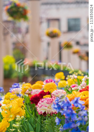 春の久屋大通庭園フラリエ、満開の花々〈愛知県名古屋市〉 春の久屋大通庭園フラリエ、満開の花々〈愛知県名古屋市〉 113850824
