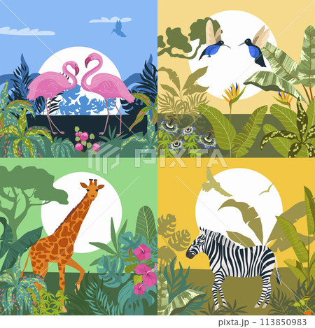 Hand drawn flat exotic flora and fauna square illustration set with wild animals and tropical plants Hand drawn flat exotic flora and fauna square illustration set with wild animals and tropical plants 113850983