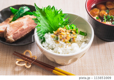 ご飯に乗せたねぎ味噌 ご飯に乗せたねぎ味噌 113851009