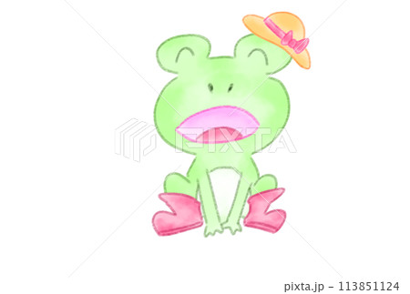 歌を歌うカエル 113851124