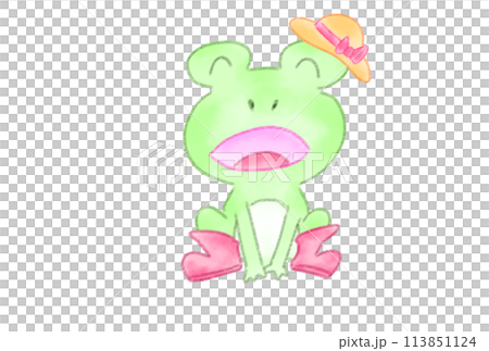 歌を歌うカエル 113851124