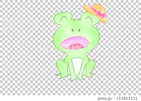 Singing frog Singing frog 113851131