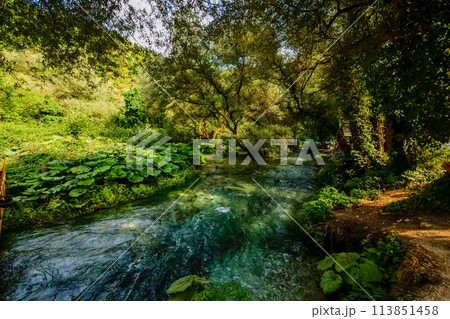 Blue Eye Lake Park in Albania 113851458