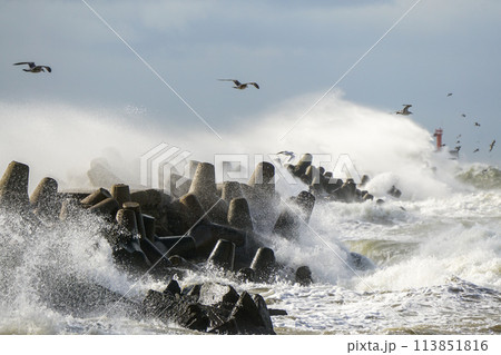 Storm at sea, high waves crashing against the concrete breakwaters of the port, high white splashes 113851816