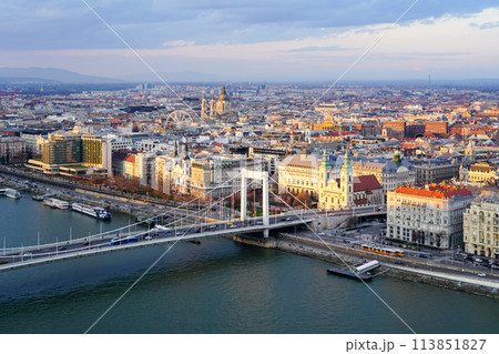 Beautiful Budapest panorama with Danube river with bridges from Gellert Hill 113851827