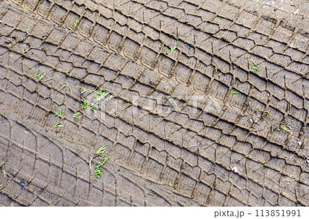 Car tire tread pattern prints in the mud, wheel protector marks texture, tyre tracks in the mud 113851991