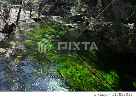 上高地を流れる澄んだ川 113852018