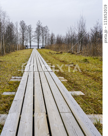 A long wooden boardwalk that leads across the marsh to the lake in early spring, perspective view 113852019