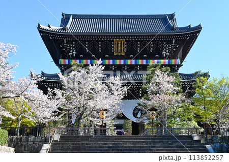春に見上げる京都市金戒光明寺の巨大な山門 春に見上げる京都市金戒光明寺の巨大な山門 113852257