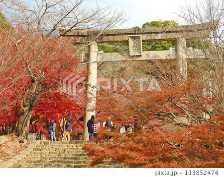 紅葉が美しい福岡県太宰府市の宝満宮竈門神社鳥居 紅葉が美しい福岡県太宰府市の宝満宮竈門神社鳥居 113852474