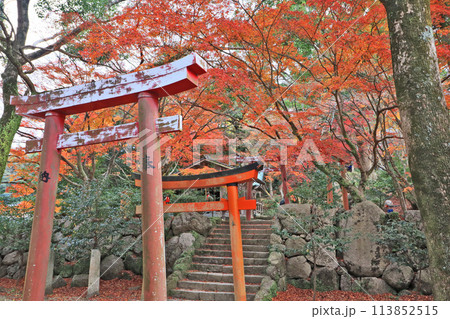 福岡県太宰府市の宝満宮竈門神社境内の式部稲荷社と紅葉 113852515