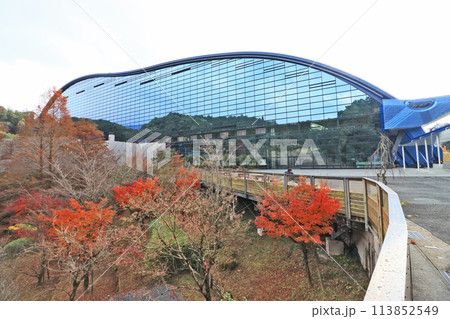 福岡県太宰府市の九州国立博物館の秋 113852549