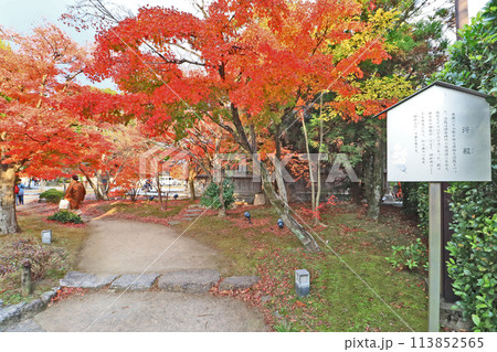 福岡県の人気観光スポット太宰府天満宮横にある浮殿の紅葉 113852565