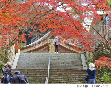 福岡県太宰府市の紅葉の名所宝満宮竈門神社 福岡県太宰府市の紅葉の名所宝満宮竈門神社 113852586