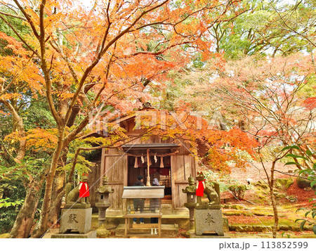 福岡県の人気観光スポット宝満宮竈門神社境内の式部稲荷社 113852599