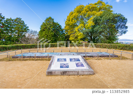 奈良県天理市　柳本公園の黒塚古墳 113852985