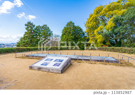 奈良県天理市　柳本公園の黒塚古墳 113852987