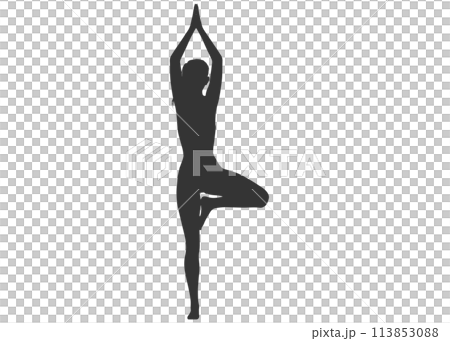 ヨガポーズ 木のポーズをする女性の全身正面シルエット 113853088