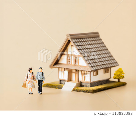木造建築の日本家屋と夫婦　日本国内旅行イメージのミニチュア模型 113853388
