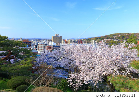 【石川県】晴天の兼六園の満開の桜と金沢の街並み 113853511