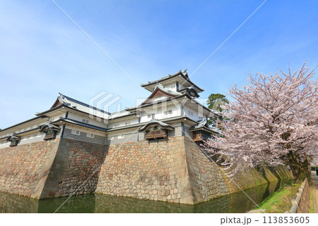【石川県】晴天の金沢城 菱櫓と満開の桜 113853605