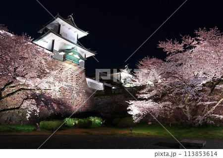 【石川県】金沢城 石川門の満開の夜桜 113853614