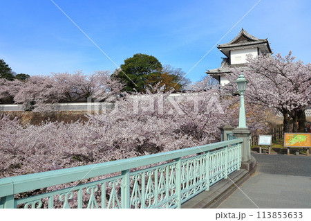 【石川県】晴天の金沢城 石川門と満開の桜 113853633