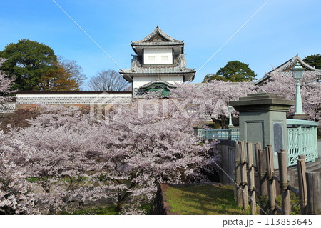 【石川県】晴天の金沢城 石川門と満開の桜 【石川県】晴天の金沢城 石川門と満開の桜 113853645
