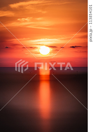 【庄内の風景】夕日と共に庄内平野と日本海を一望できる_眺海の森（山形県酒田市） 113854101