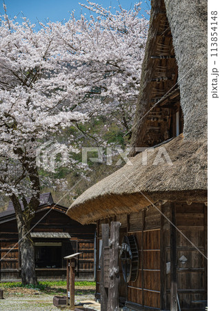 世界遺産 菅沼合掌造り集落の春景色 世界遺産 菅沼合掌造り集落の春景色 113854148