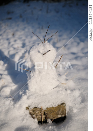 正面から見る雪だるま 113854181
