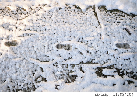 雪に残る子どもの足跡 113854204